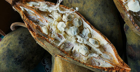 Baobab Oil
